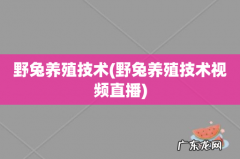 野兔养殖技术视频直播 野兔养殖技术