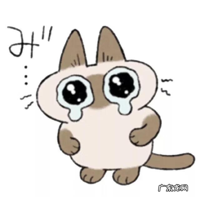 小沢とおるjul 小沢