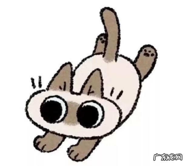 小沢とおるjul 小沢