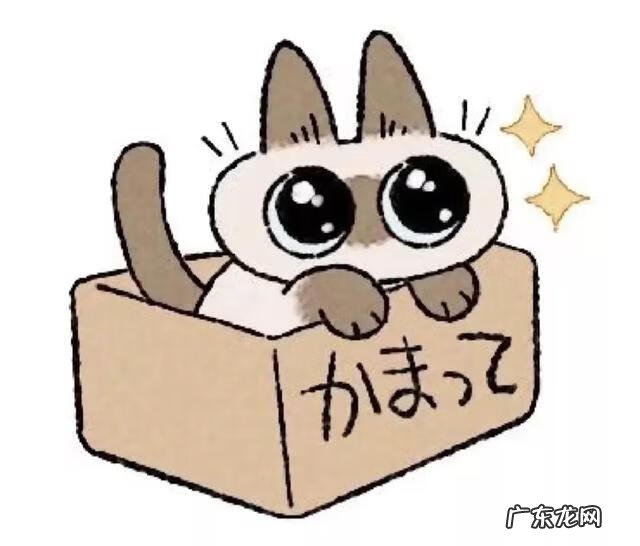 小沢とおるjul 小沢