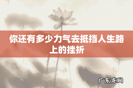 你还有多少力气去抵挡人生路上的挫折