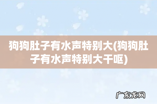 狗狗肚子有水声特别大干呕 狗狗肚子有水声特别大