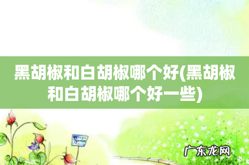 黑胡椒和白胡椒哪个好一些 黑胡椒和白胡椒哪个好