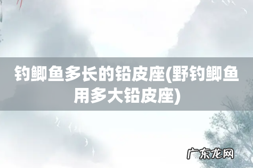 野钓鲫鱼用多大铅皮座 钓鲫鱼多长的铅皮座