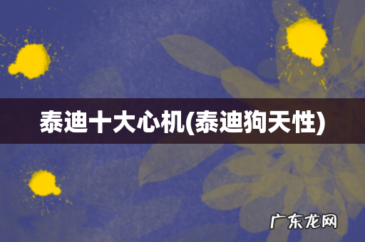 泰迪狗天性 泰迪十大心机