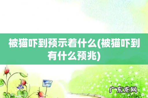 被猫吓到有什么预兆 被猫吓到预示着什么