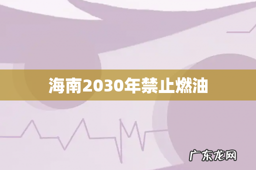海南2030年禁止燃油