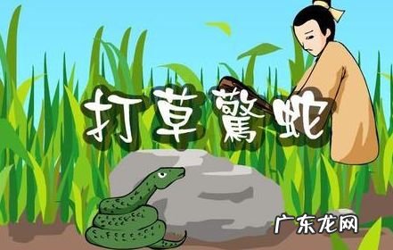 有蛇入屋 在风水上意味着什么 蛇入屋风水此解