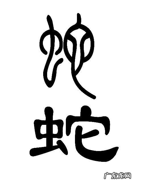 有蛇入屋 在风水上意味着什么 蛇入屋风水此解