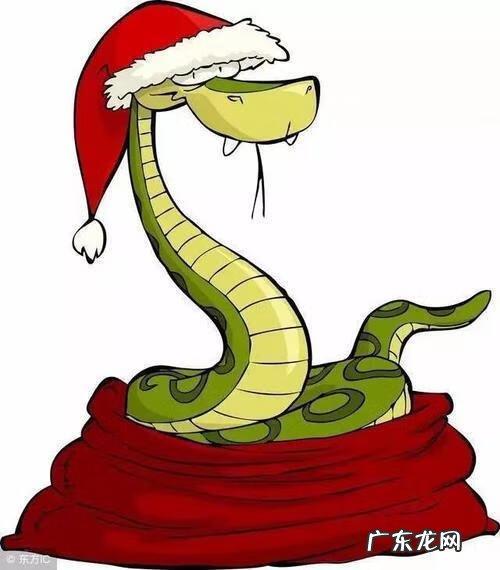 有蛇入屋 在风水上意味着什么 蛇入屋风水此解