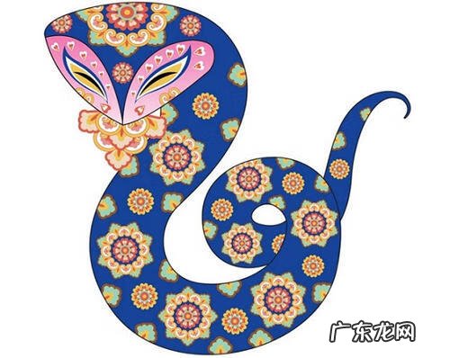 有蛇入屋 在风水上意味着什么 蛇入屋风水此解