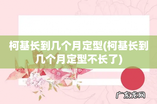 柯基长到几个月定型不长了 柯基长到几个月定型