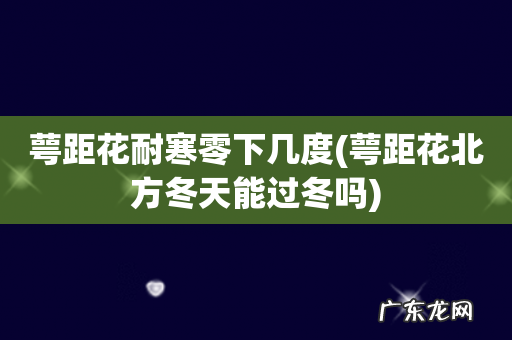 萼距花北方冬天能过冬吗 萼距花耐寒零下几度
