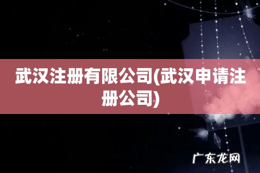 武汉申请注册公司 武汉注册有限公司