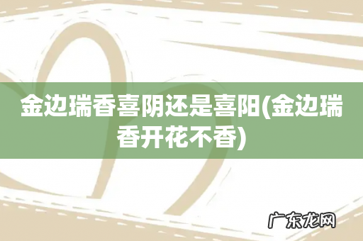 金边瑞香开花不香 金边瑞香喜阴还是喜阳