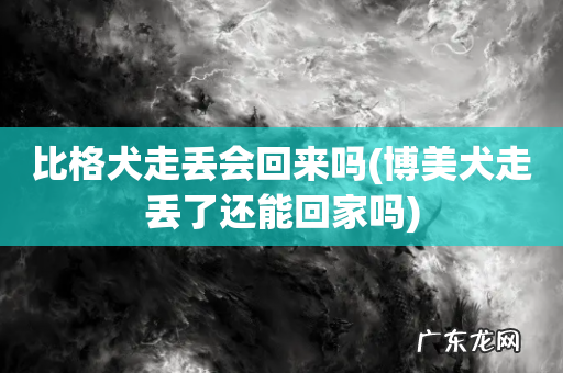 博美犬走丢了还能回家吗 比格犬走丢会回来吗