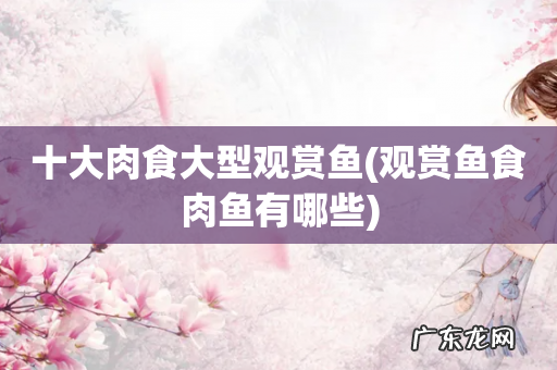 观赏鱼食肉鱼有哪些 十大肉食大型观赏鱼