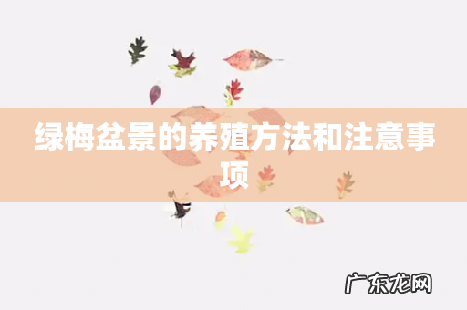 绿梅盆景的养殖方法和注意事项