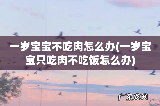 一岁宝宝只吃肉不吃饭怎么办 一岁宝宝不吃肉怎么办