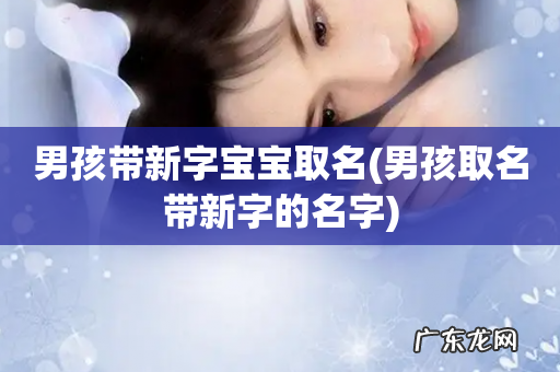男孩取名带新字的名字 男孩带新字宝宝取名