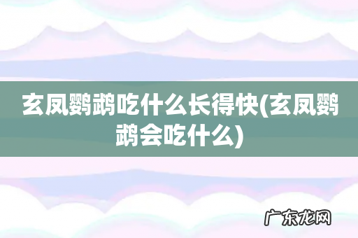 玄凤鹦鹉会吃什么 玄凤鹦鹉吃什么长得快