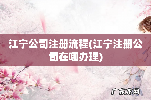 江宁注册公司在哪办理 江宁公司注册流程