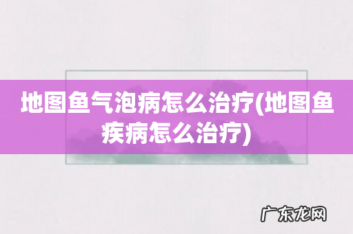 地图鱼疾病怎么治疗 地图鱼气泡病怎么治疗