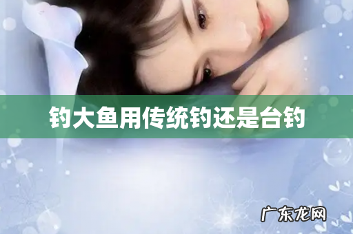 钓大鱼用传统钓还是台钓