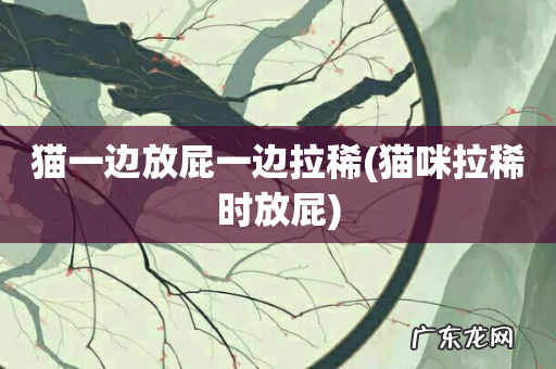 猫咪拉稀时放屁 猫一边放屁一边拉稀