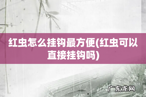 红虫可以直接挂钩吗 红虫怎么挂钩最方便