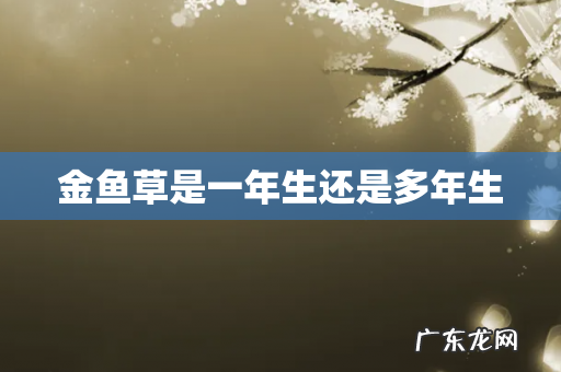 金鱼草是一年生还是多年生