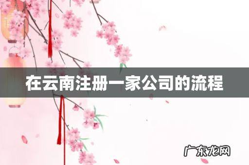 在云南注册一家公司的流程