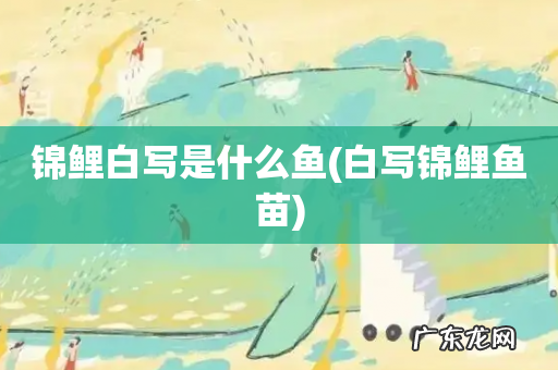 白写锦鲤鱼苗 锦鲤白写是什么鱼