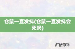 仓鼠一直发抖会死吗 仓鼠一直发抖