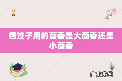 包饺子用的茴香是大茴香还是小茴香