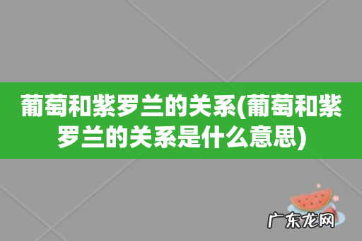 葡萄和紫罗兰的关系是什么意思 葡萄和紫罗兰的关系