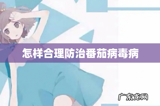 怎样合理防治番茄病毒病