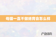 母猫一直不做绝育会怎么样