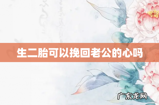生二胎可以挽回老公的心吗