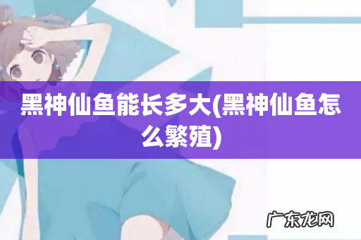 黑神仙鱼怎么繁殖 黑神仙鱼能长多大