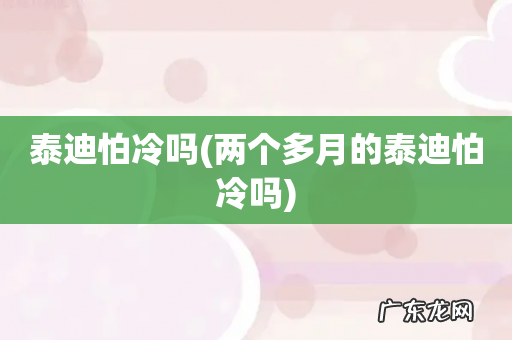 两个多月的泰迪怕冷吗 泰迪怕冷吗