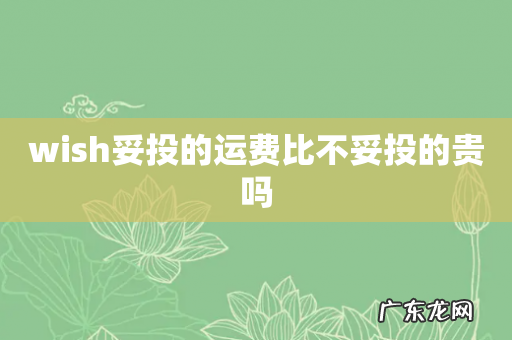 wish妥投的运费比不妥投的贵吗