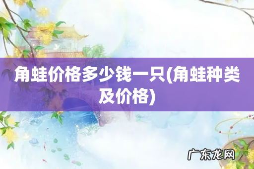 角蛙种类及价格 角蛙价格多少钱一只