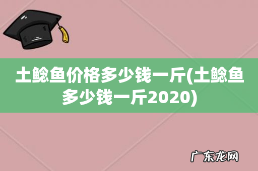 土鲶鱼多少钱一斤2020 土鲶鱼价格多少钱一斤