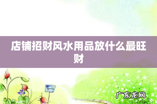 店铺招财风水用品放什么最旺财