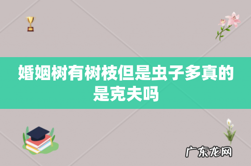 婚姻树有树枝但是虫子多真的是克夫吗