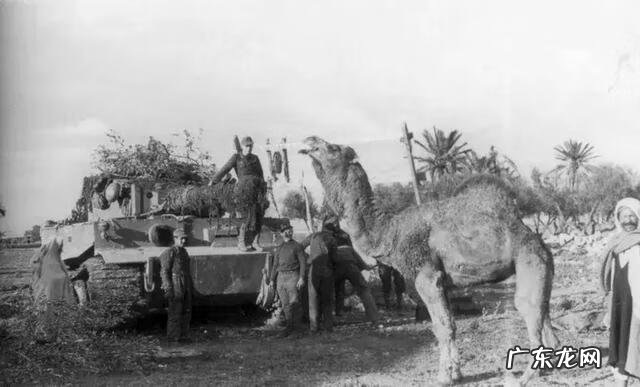 精英战 精英坦克