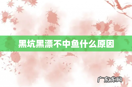 黑坑黑漂不中鱼什么原因