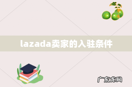 lazada卖家的入驻条件