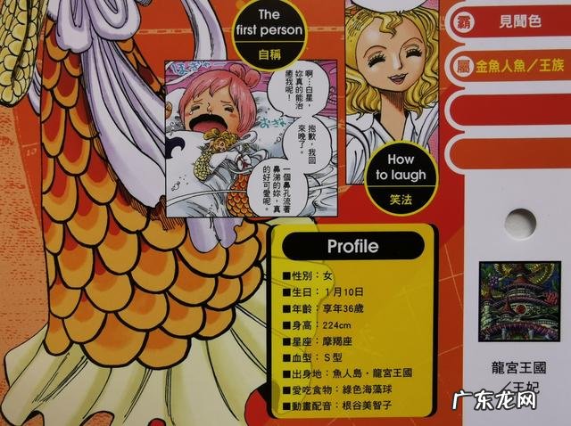 海贼王里美人鱼叫什么 海贼王人鱼公主叫什么